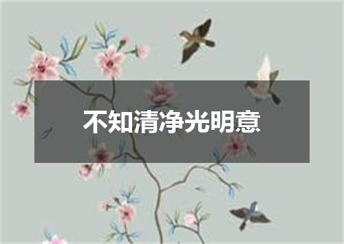 不知清净光明意