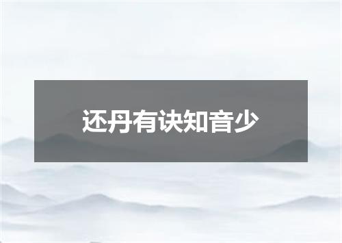 还丹有诀知音少