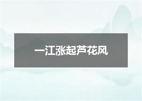 一江涨起芦花风