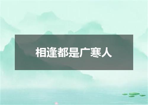 相逢都是广寒人