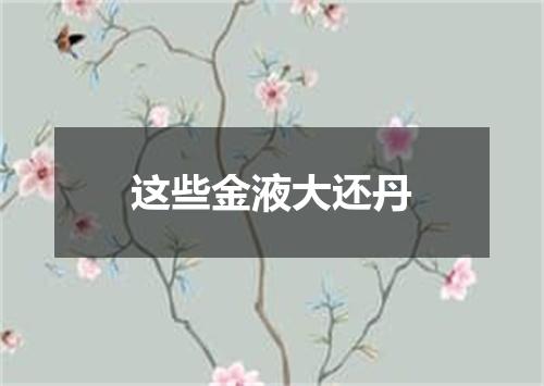 这些金液大还丹