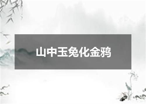 山中玉兔化金鸦