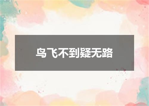 鸟飞不到疑无路