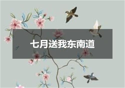 七月送我东南道