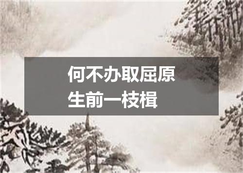 何不办取屈原生前一枝楫