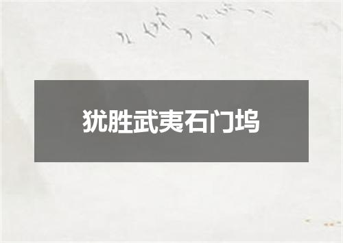 犹胜武夷石门坞
