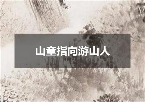 山童指向游山人
