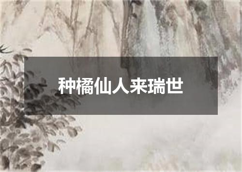 种橘仙人来瑞世