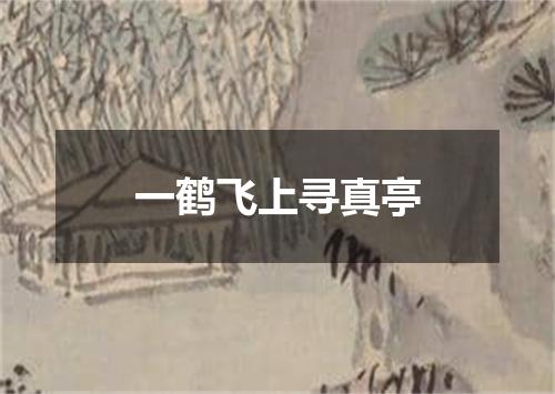 一鹤飞上寻真亭