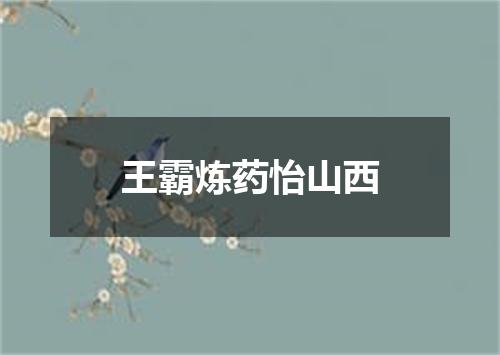 王霸炼药怡山西