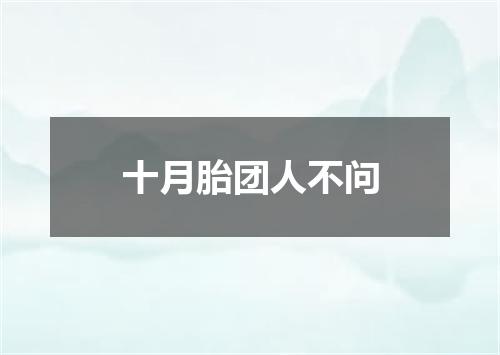 十月胎团人不问