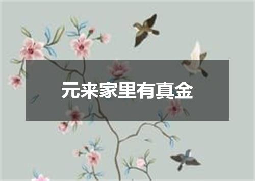 元来家里有真金