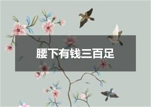 腰下有钱三百足