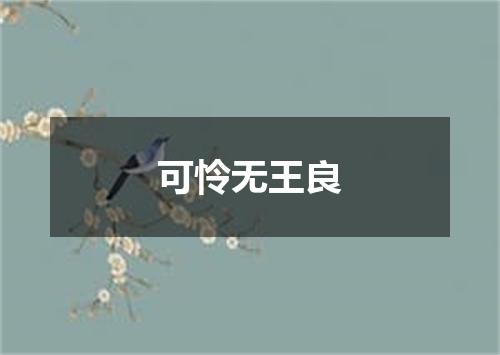可怜无王良