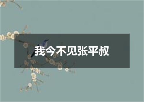 我今不见张平叔