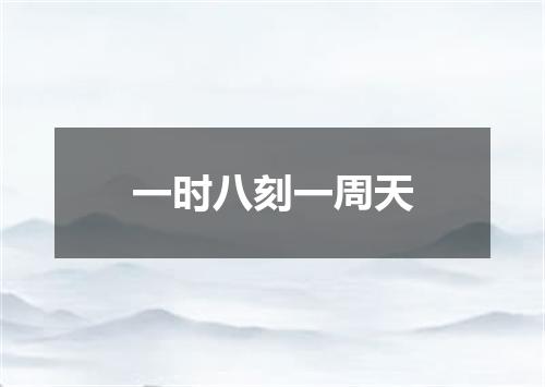 一时八刻一周天