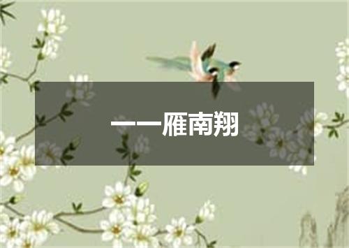 一一雁南翔