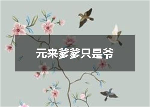 元来爹爹只是爷