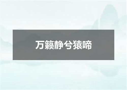 万籁静兮猿啼
