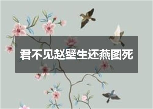 君不见赵璧生还燕图死