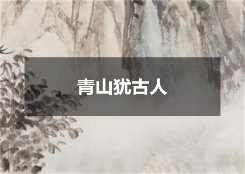 青山犹古人