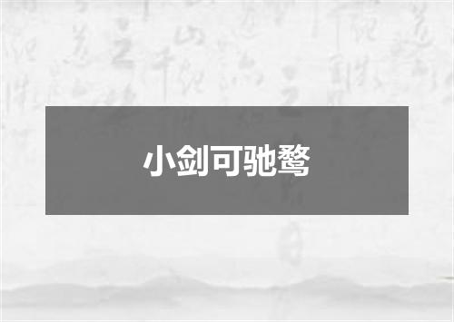 小剑可驰鹜
