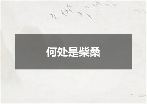 何处是柴桑