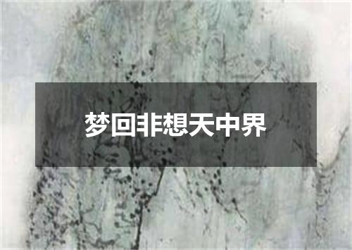 梦回非想天中界