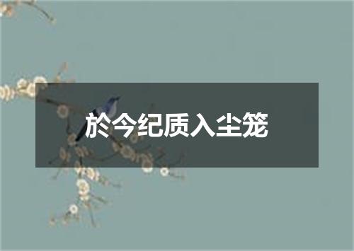 於今纪质入尘笼