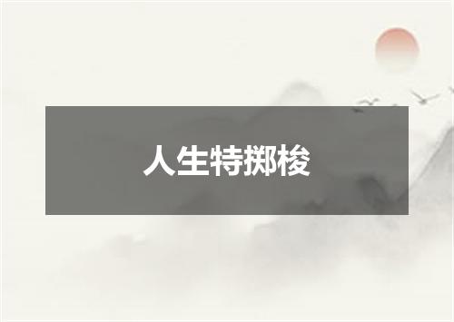 人生特掷梭