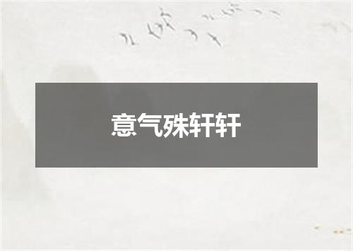 意气殊轩轩