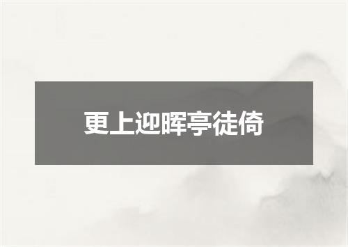 更上迎晖亭徒倚