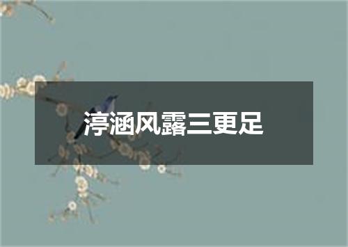 渟涵风露三更足