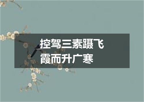 控驾三素蹑飞霞而升广寒