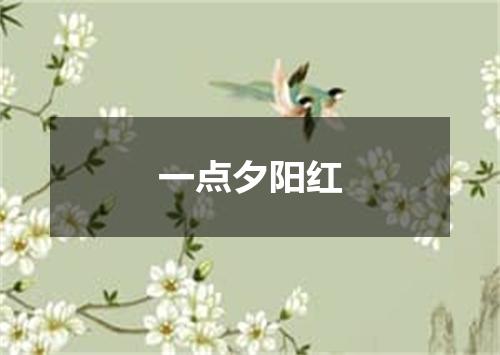 一点夕阳红