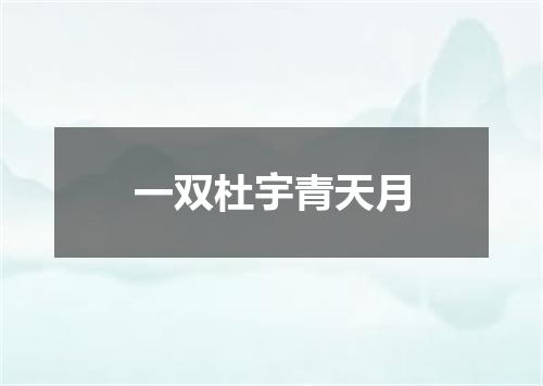 一双杜宇青天月