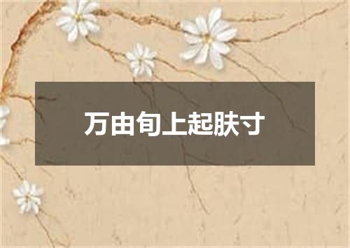万由旬上起肤寸