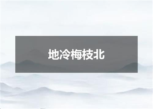 地冷梅枝北