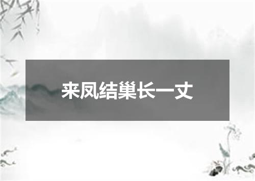 来凤结巢长一丈