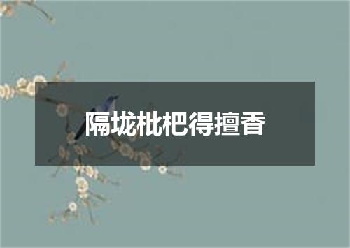 隔垅枇杷得擅香