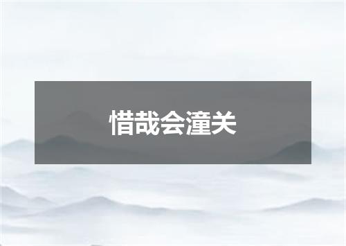 惜哉会潼关