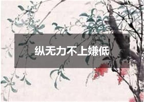 纵无力不上嫌低