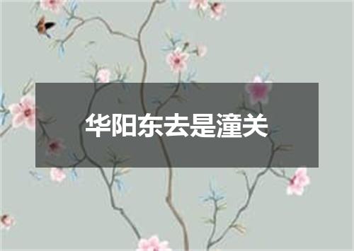 华阳东去是潼关
