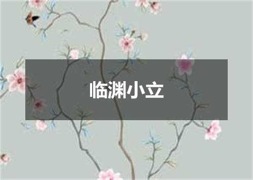 临渊小立