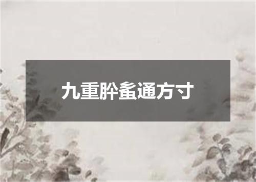 九重肸蚃通方寸