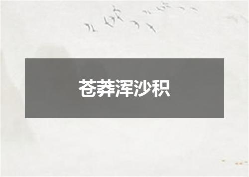 苍莽浑沙积