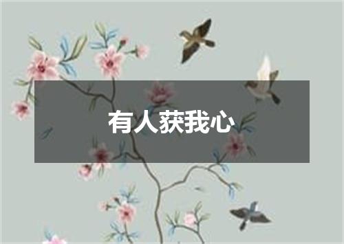 有人获我心