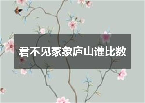 君不见冢象庐山谁比数
