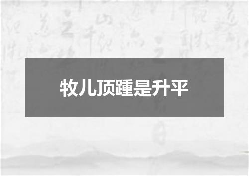 牧儿顶踵是升平