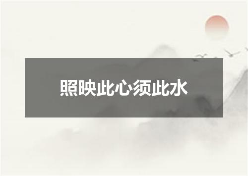 照映此心须此水